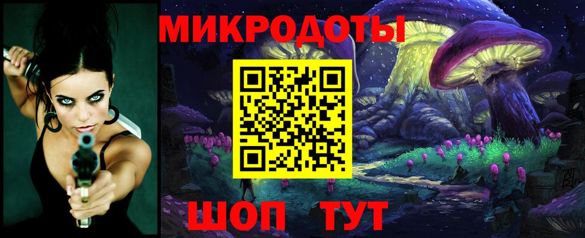 Псилоцибиновые грибы прущие грибы Качканар